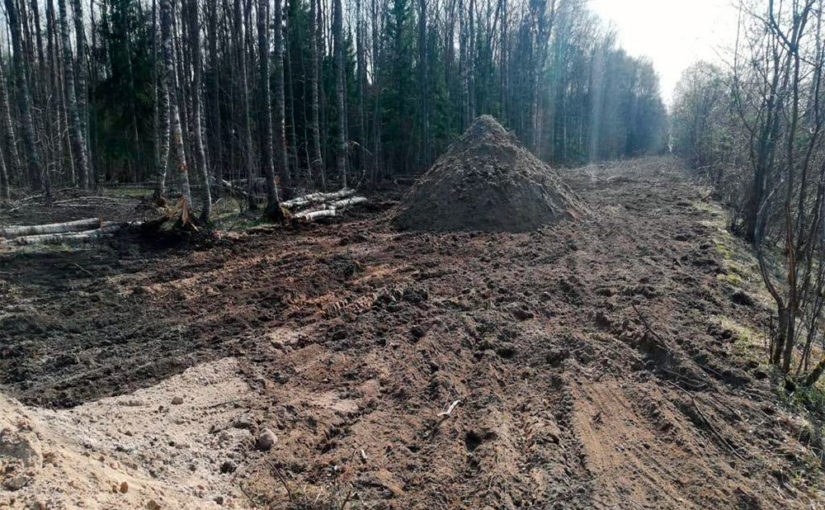 Дорога к озеру