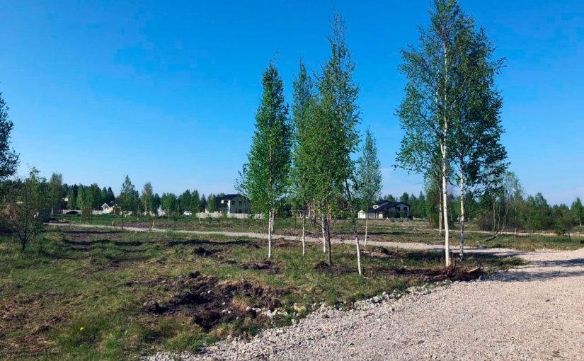 Старт продаж 3й очереди